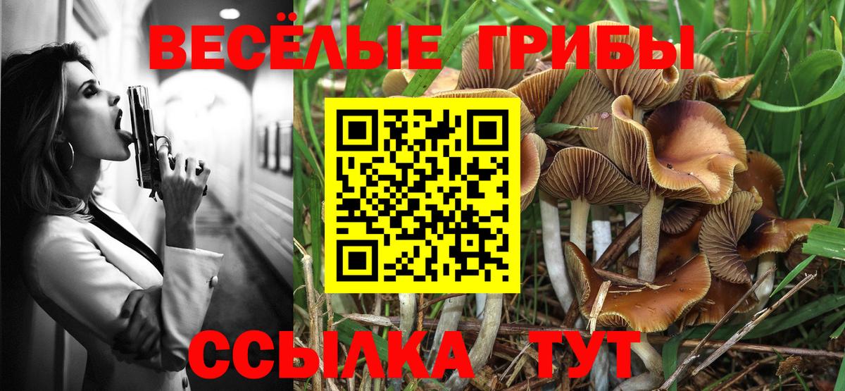 Псилоцибиновые грибы Magic Shrooms Избербаш