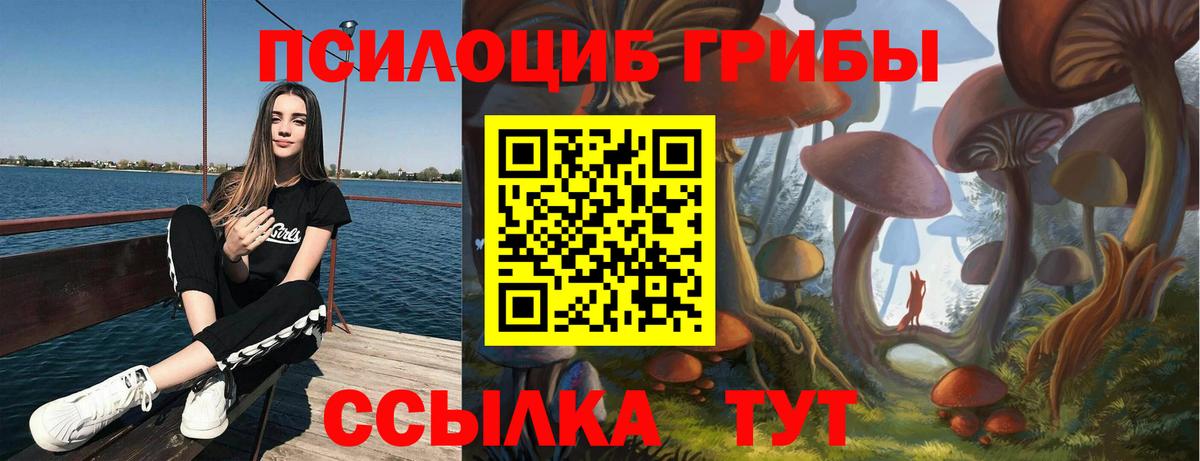 Псилоцибиновые грибы ЛСД  Вход с VPN  Псилоцибиновые грибы Psilocybine cubensis  Избербаш 
